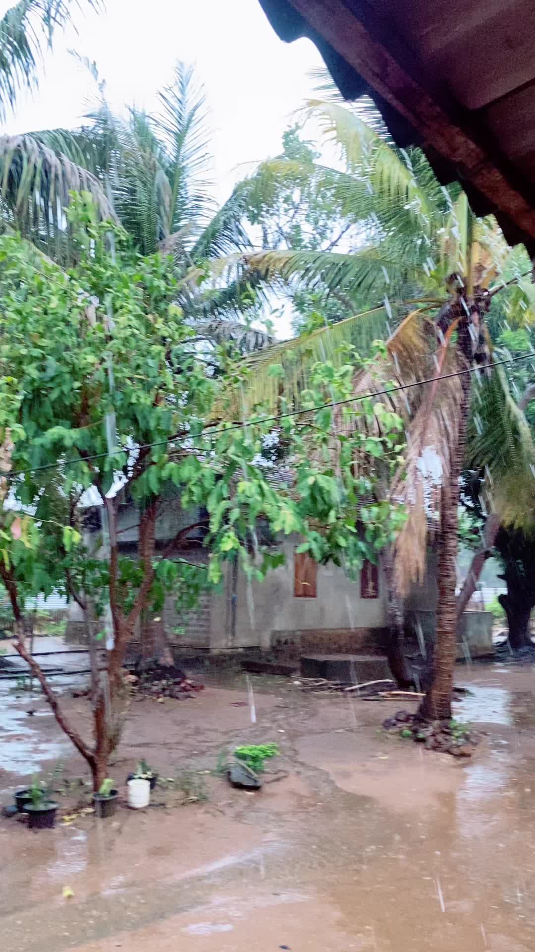 @இயற்கையின் காதலி Charu😍