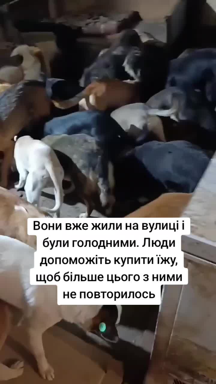@tvarinkidobra