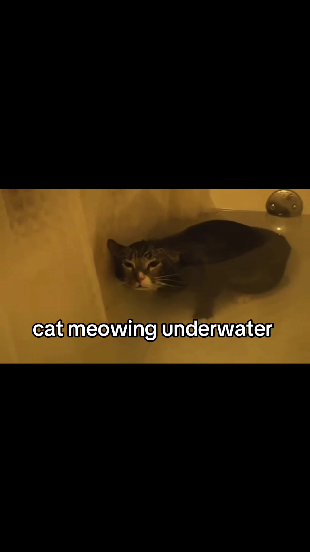 @11