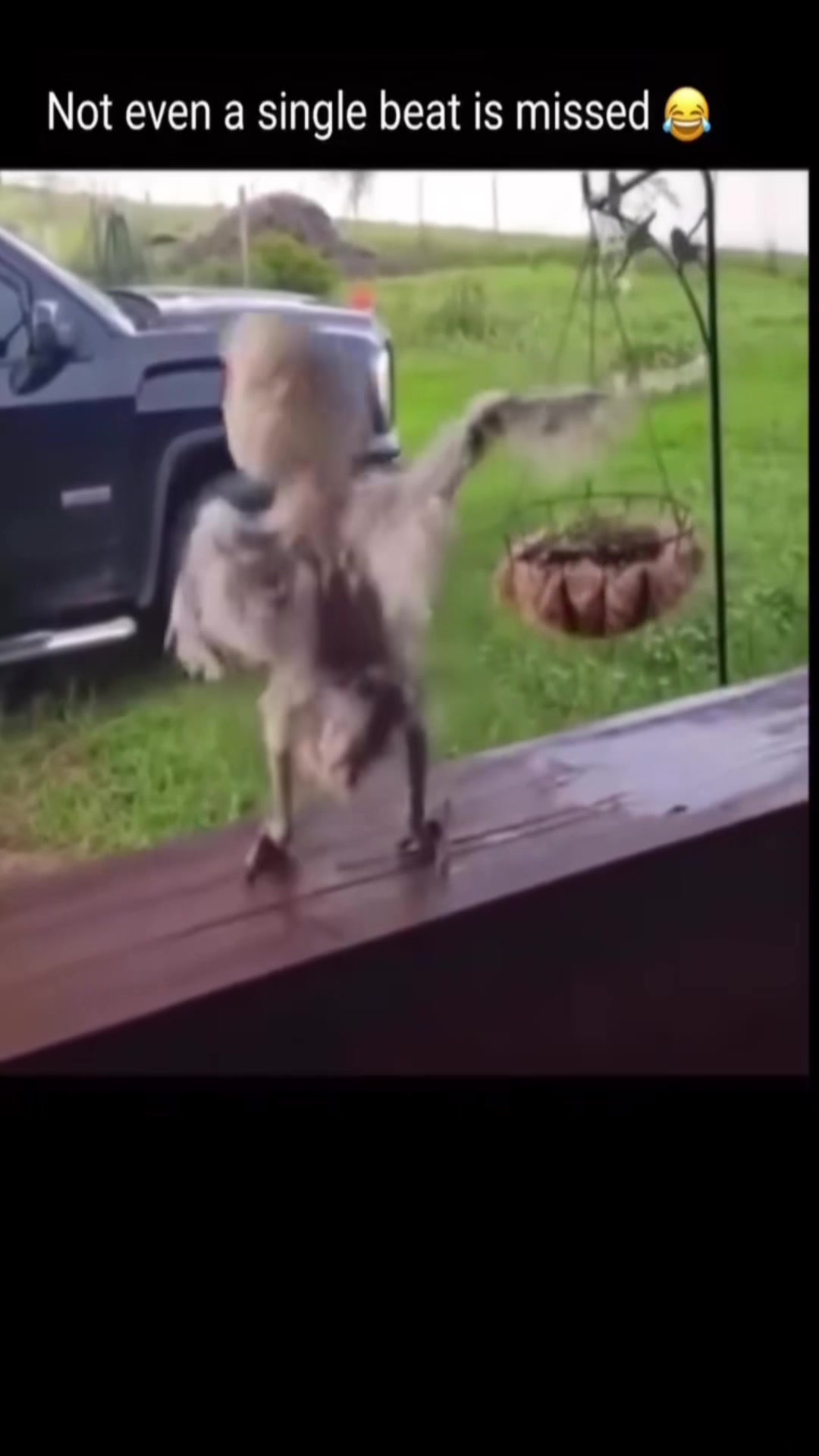 @BAY AREA STATE OF MIND