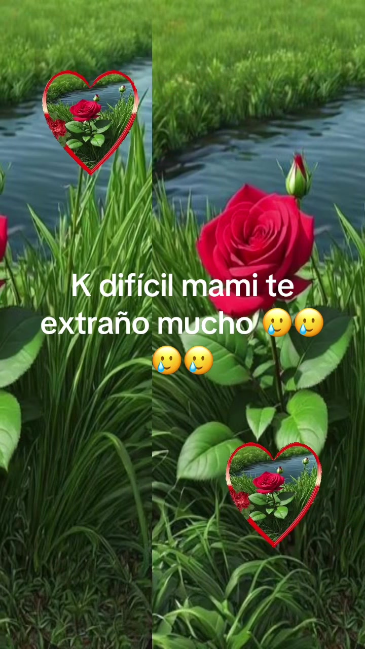 @ALMA MAYCOT