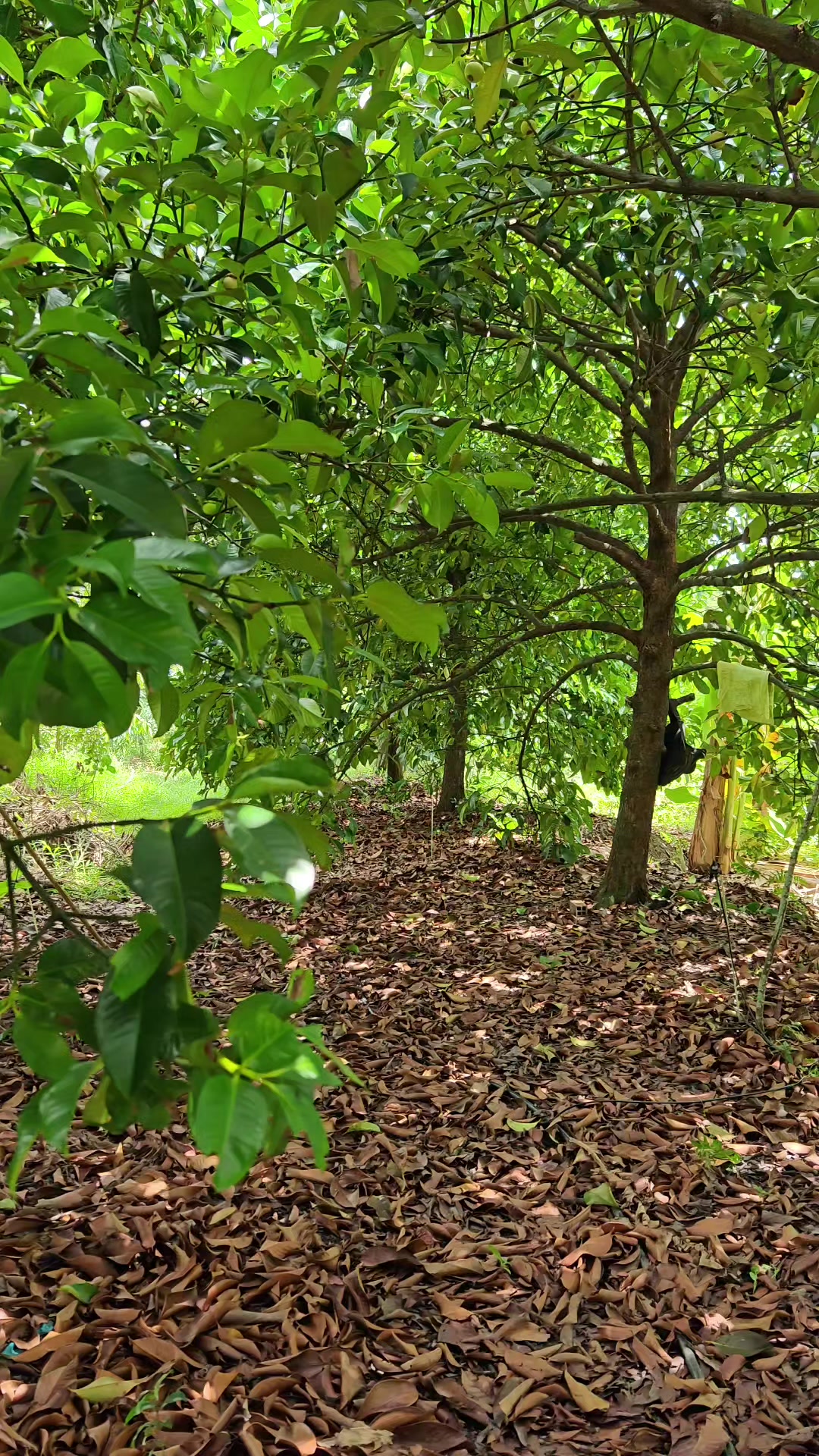 @Bất Động Sản Cần Thơ