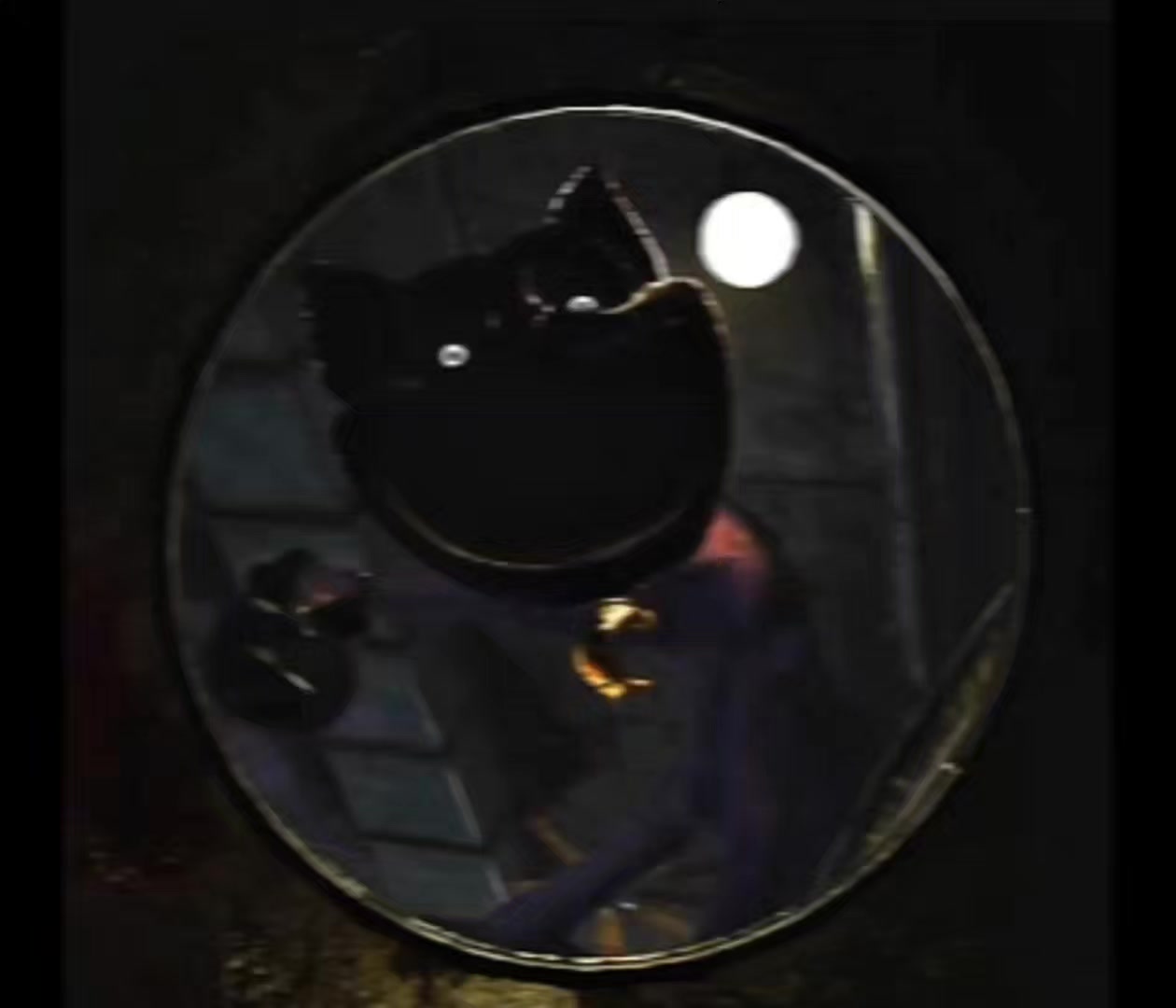 @🕸️👻Alp👻🕸️