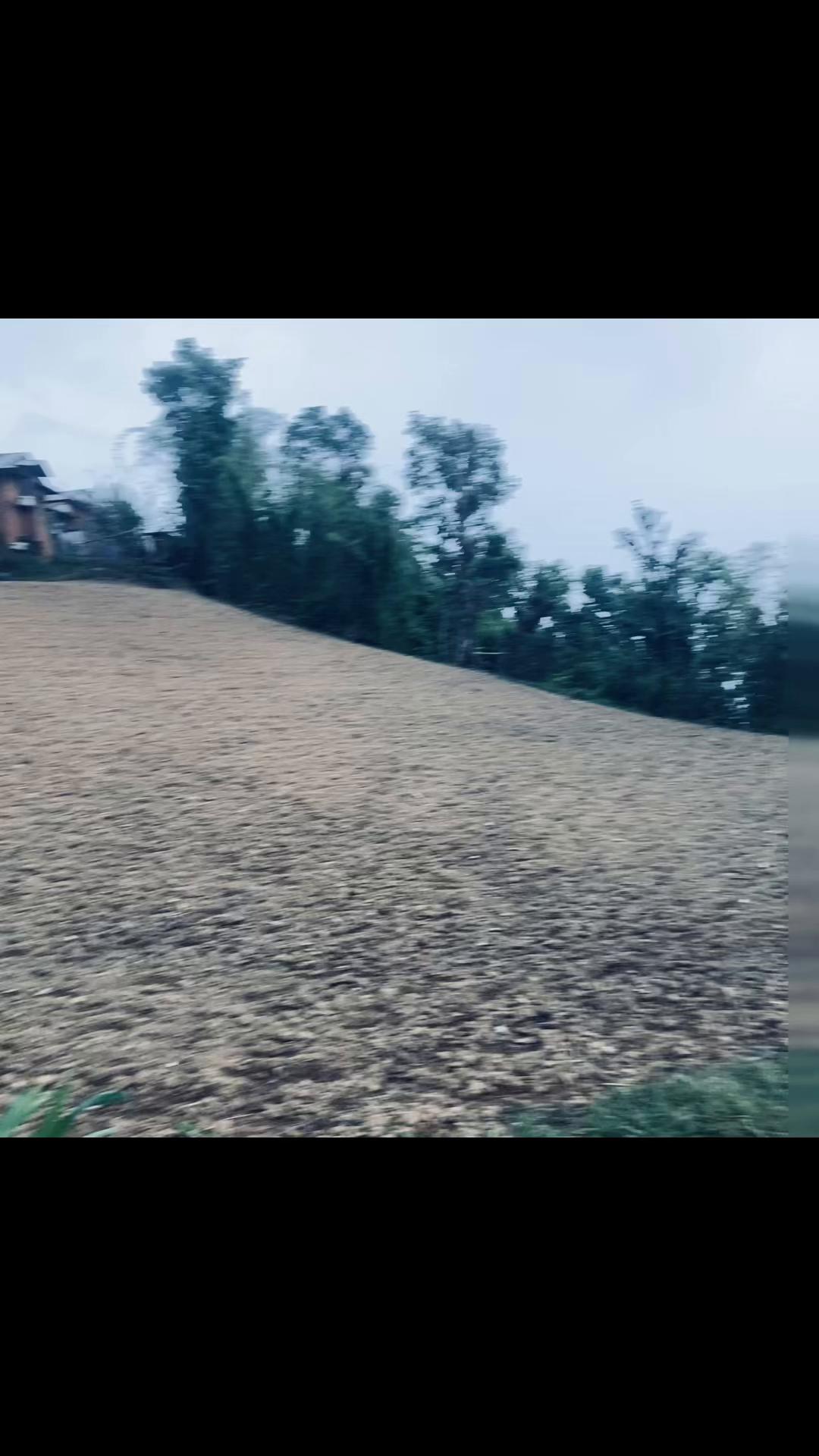 @थानेश्वर ज्ञवाली