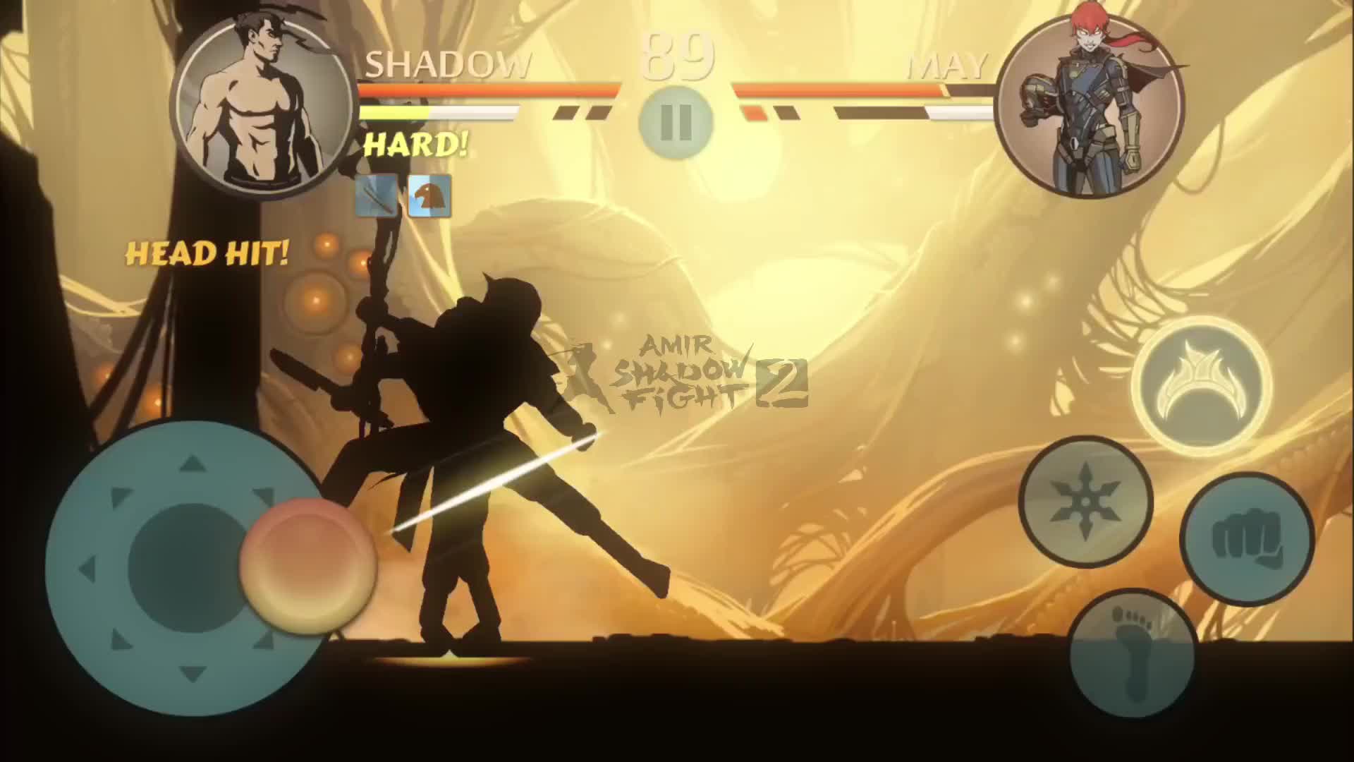 @Amir Shadow Fight