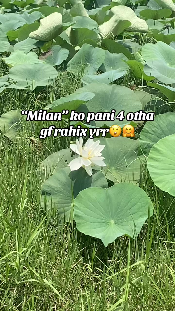 @Mrs_Pun🫶❣️