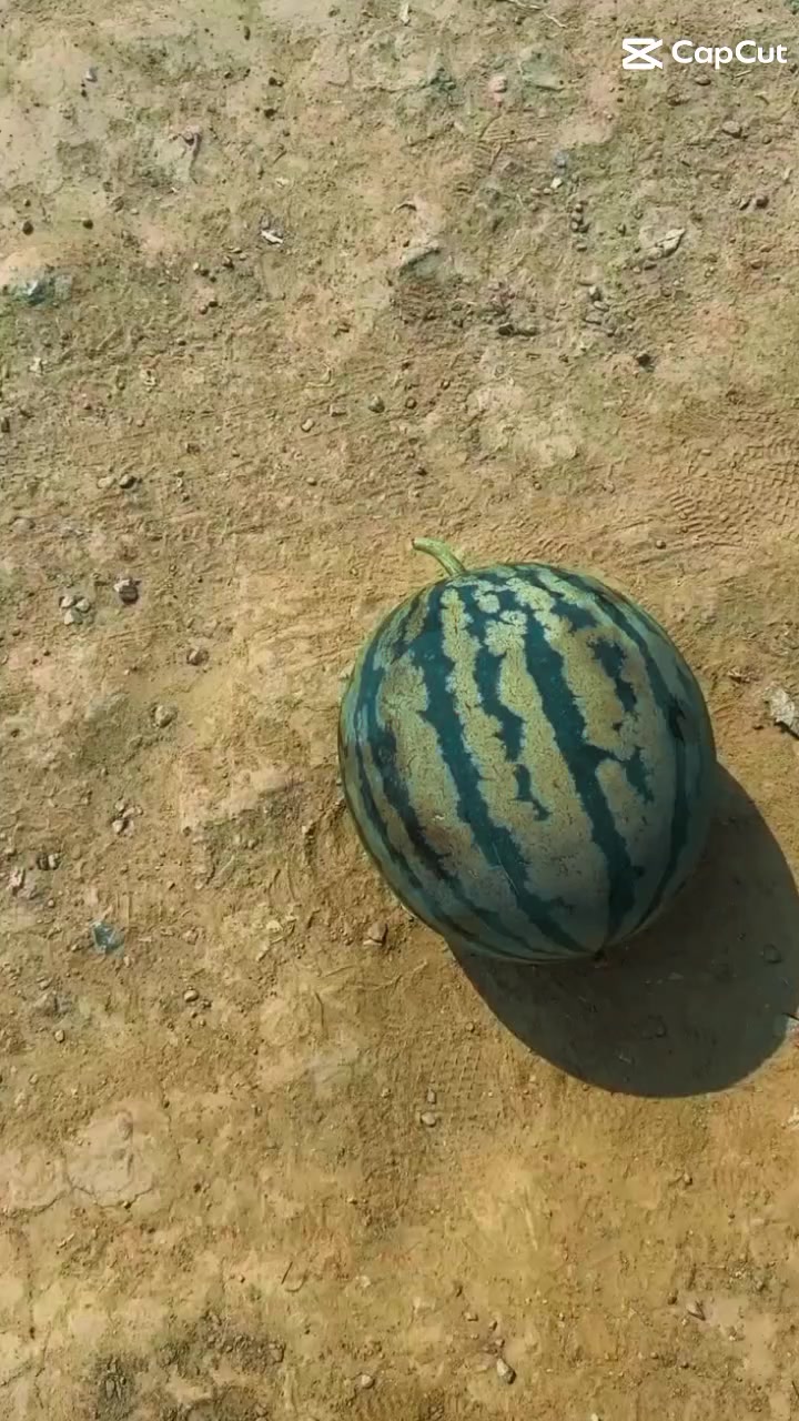 @user16525177132