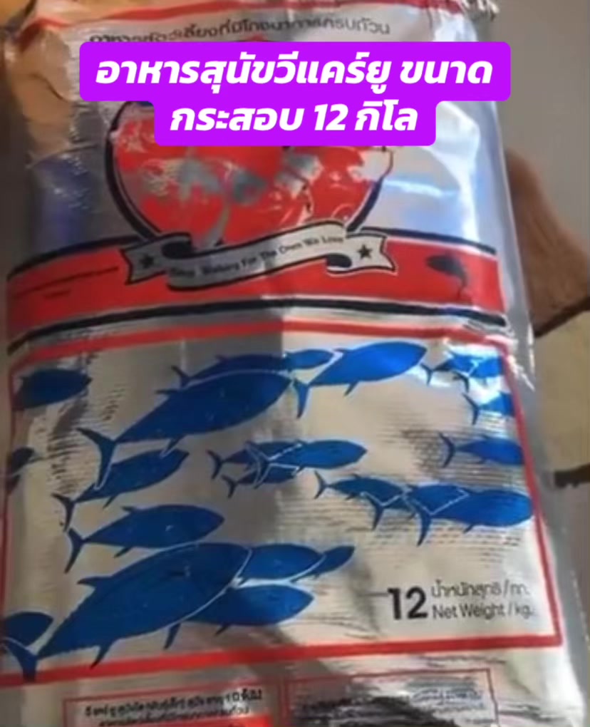@luxsiriwan21