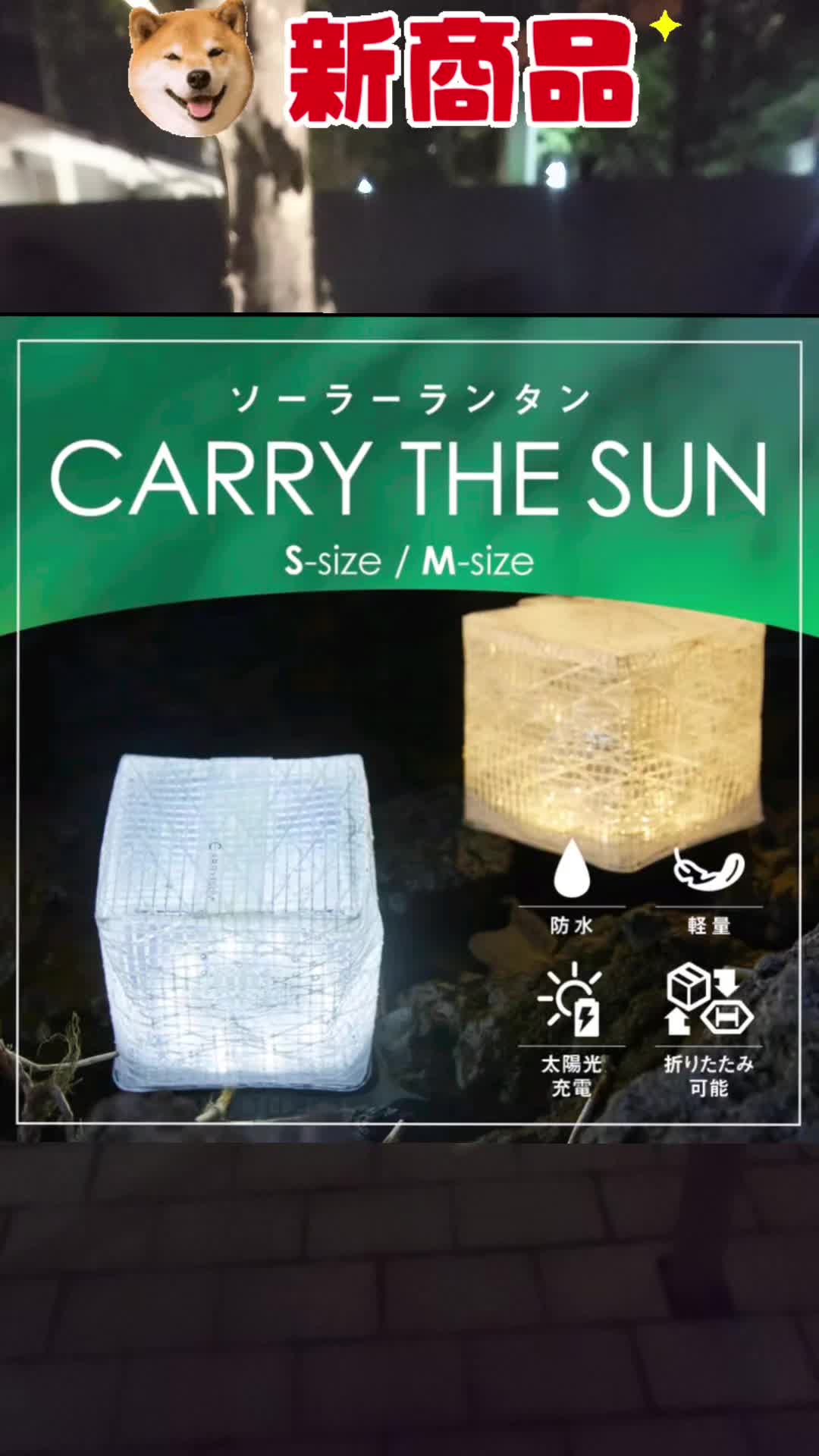 @櫻坂⊿天しか勝たん