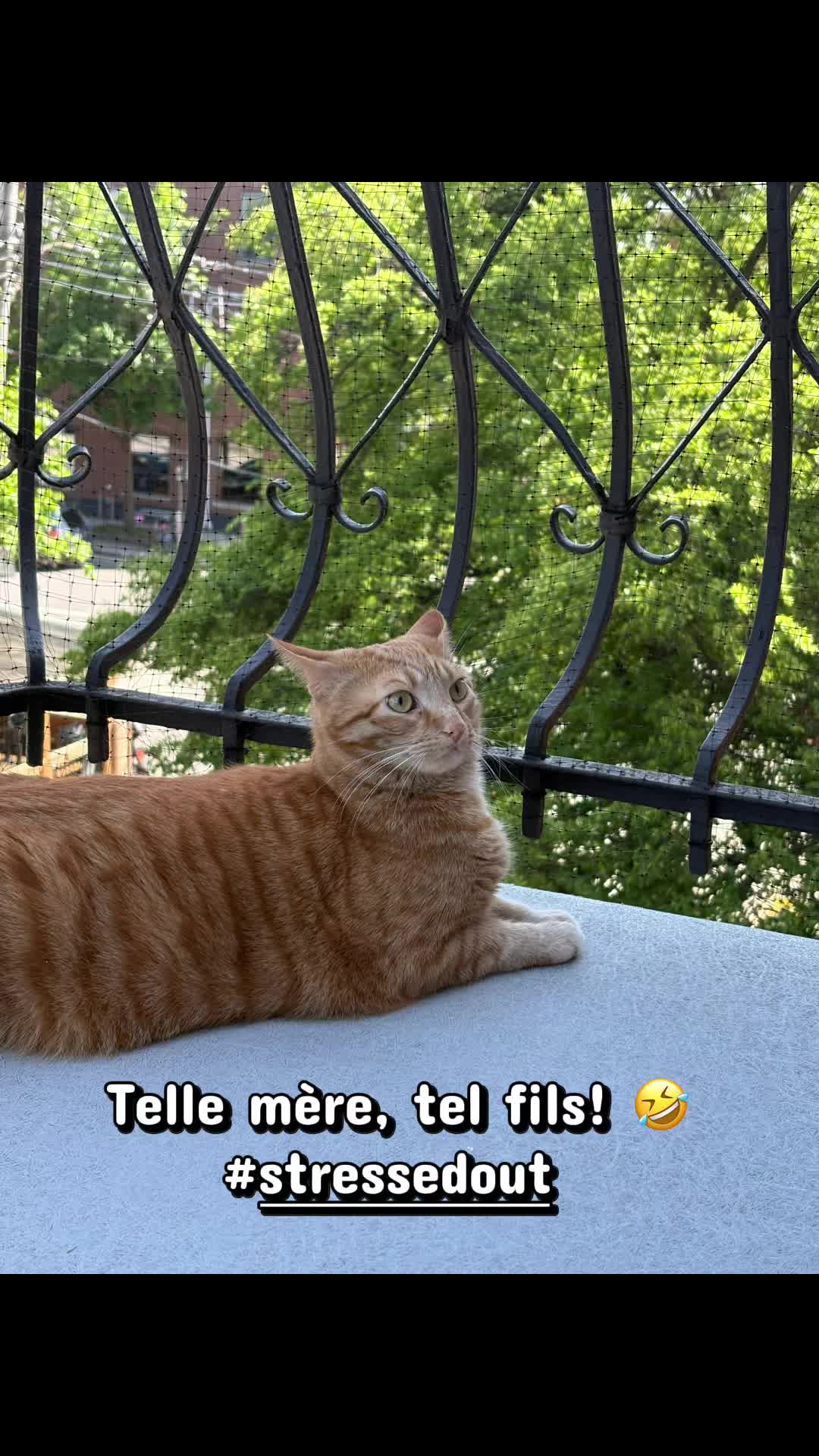 @Julie