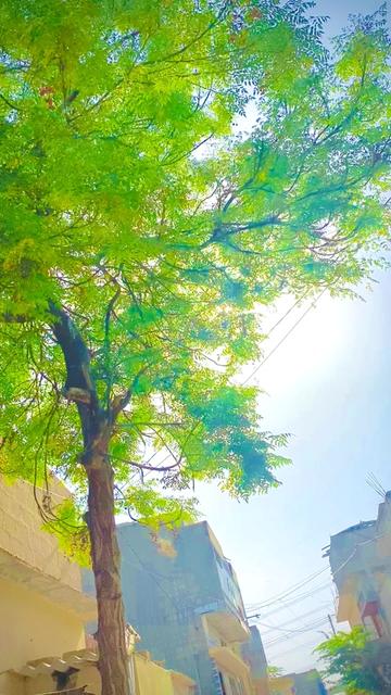 @꧁✯❈Awais👾Khan❈✯꧂