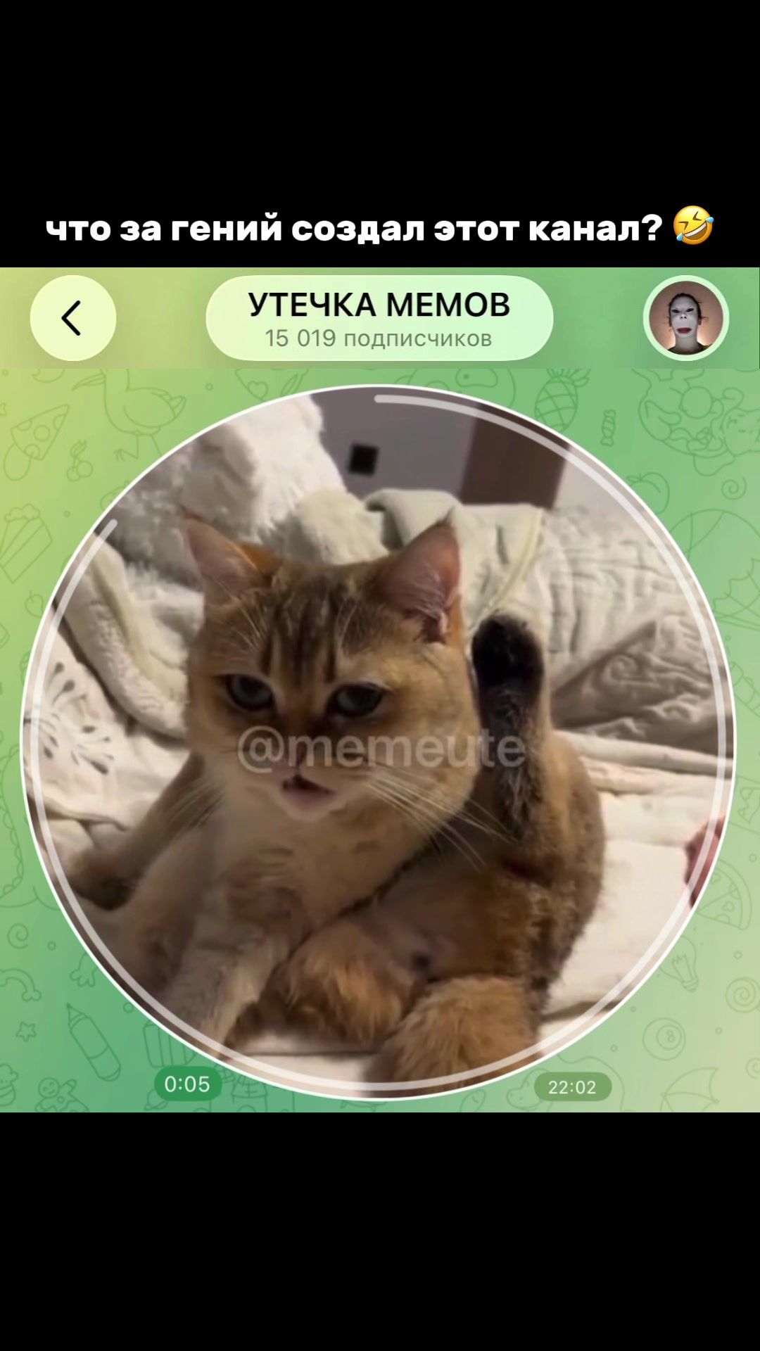 @тгк: memeute