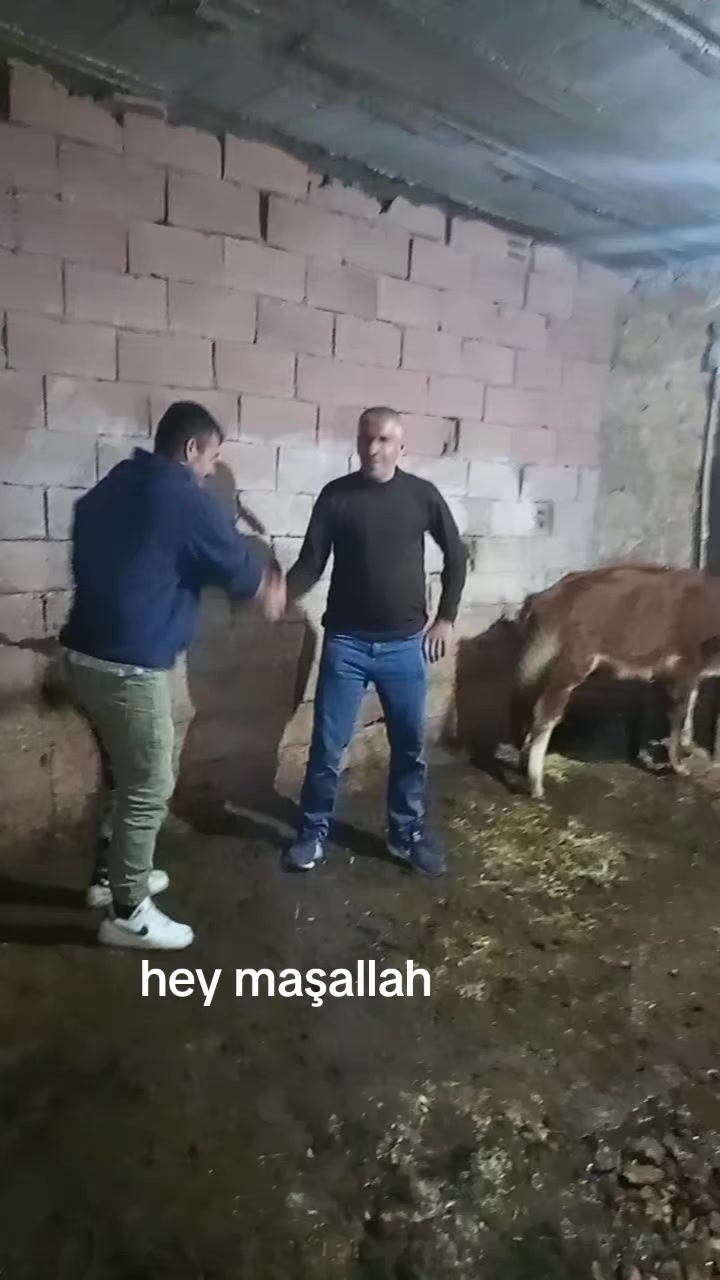 @hebun zınar
