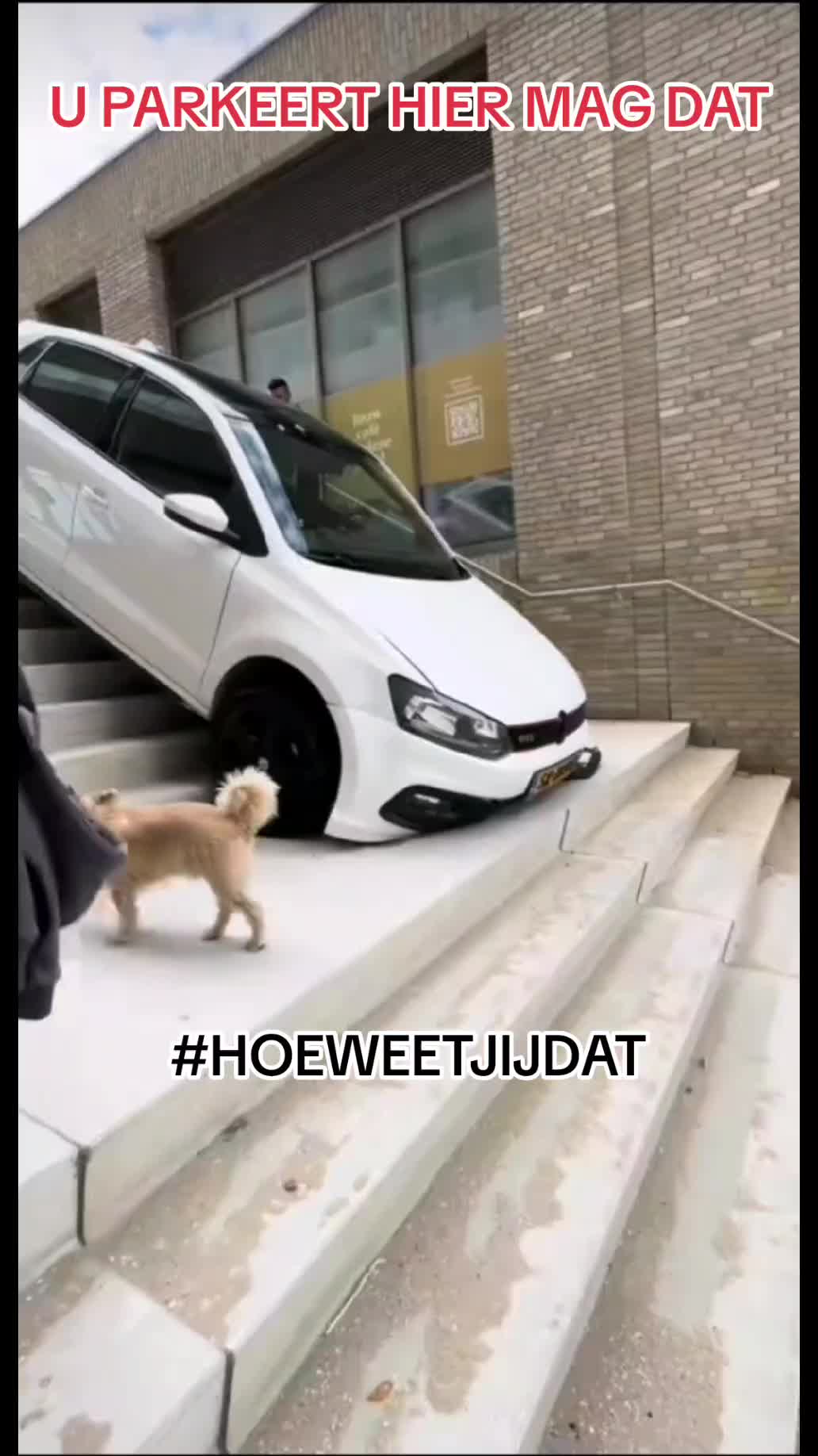 @HOEWEETJIJDAT