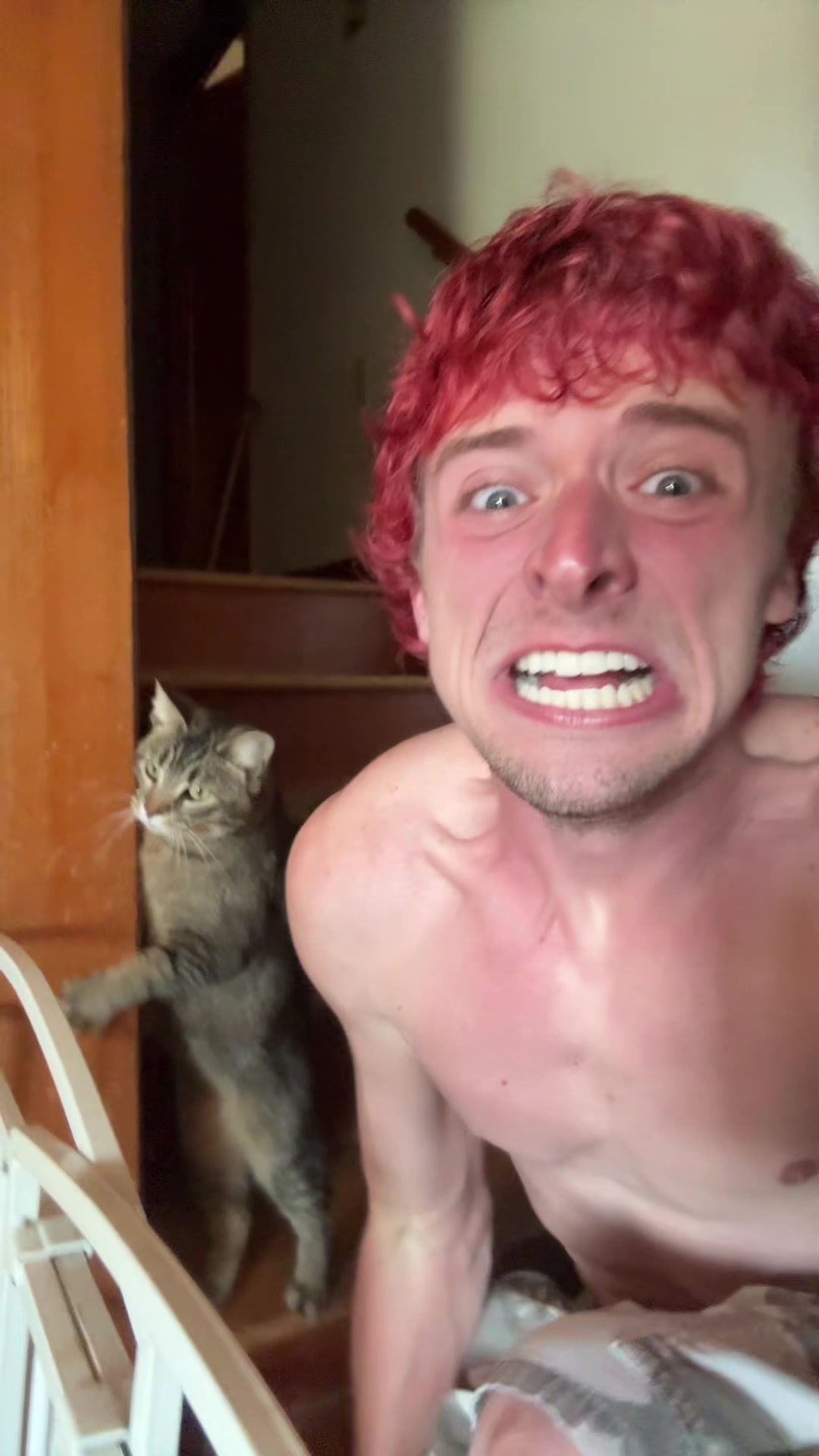 @Grungycatdad
