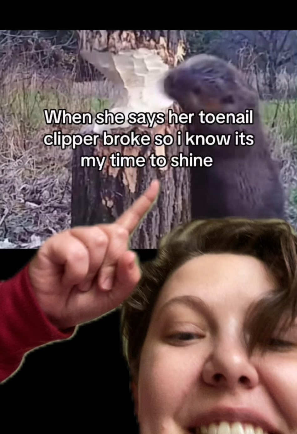 @adorknamedsteph