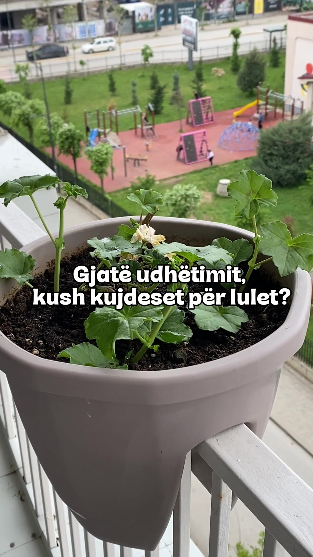 @Euroland