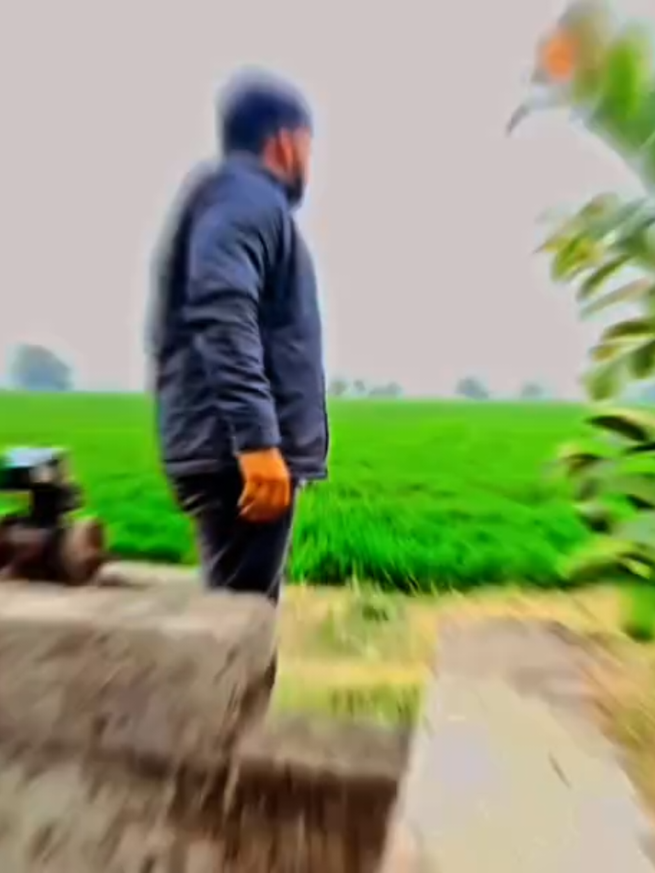 @tewatia1008