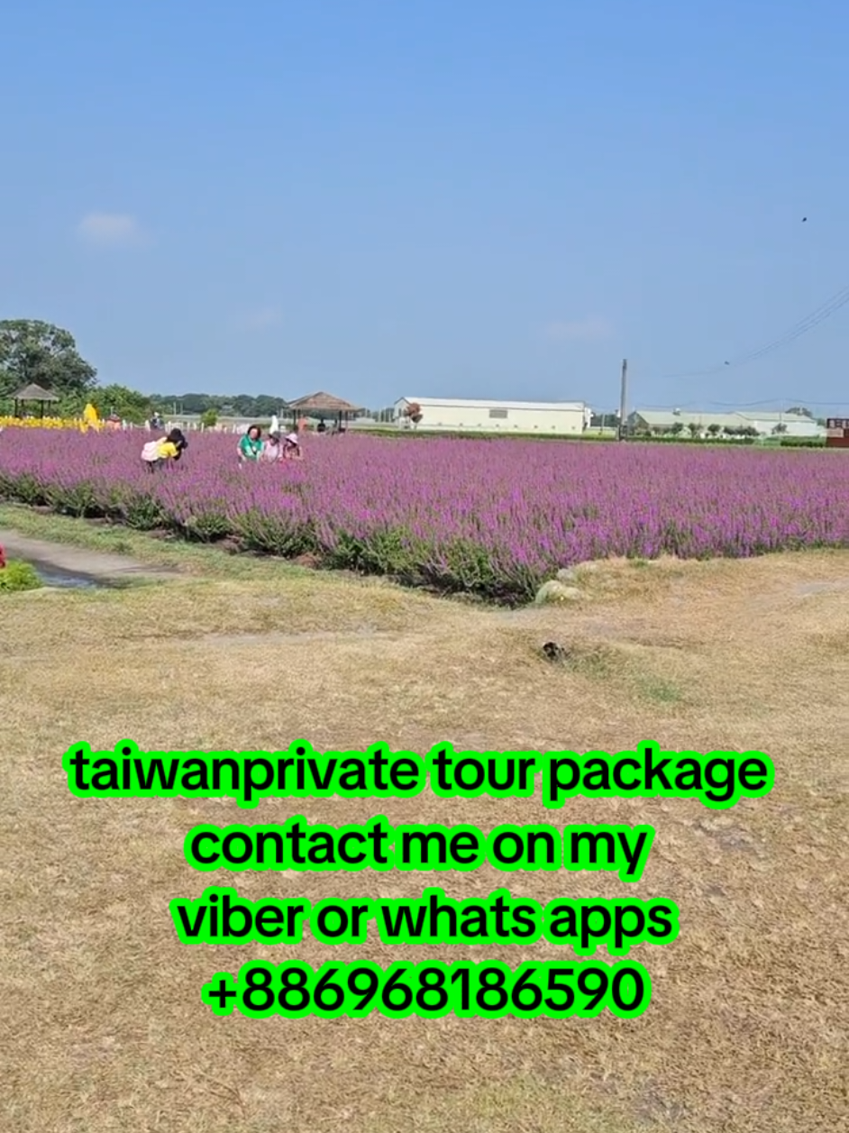 @TAIWAN PINOY TOUR Service