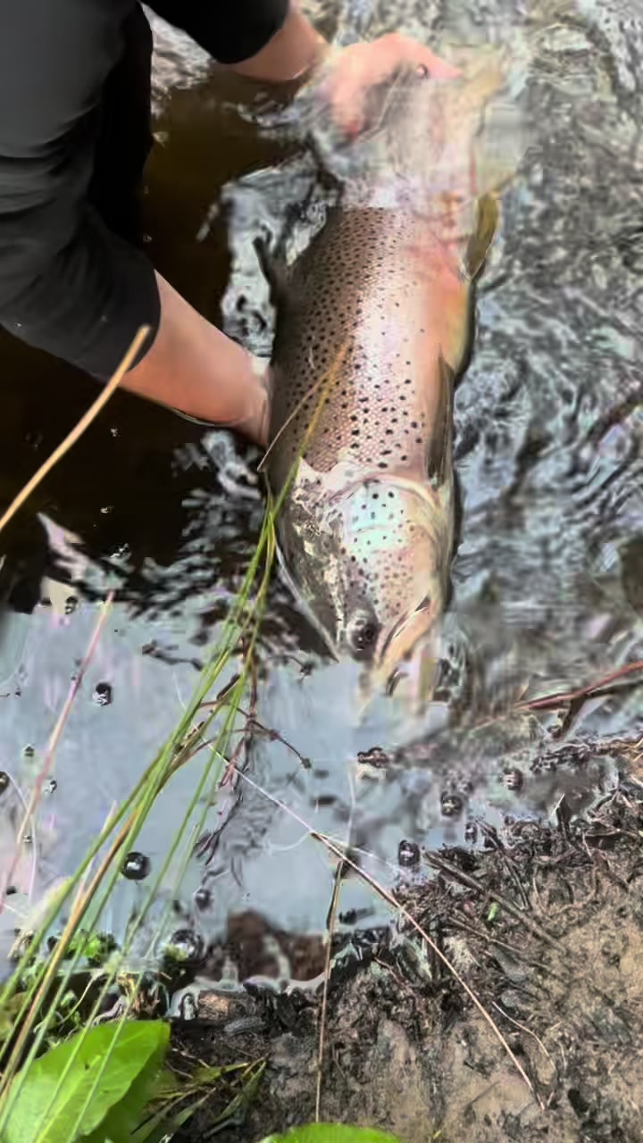 @fishing_southtas