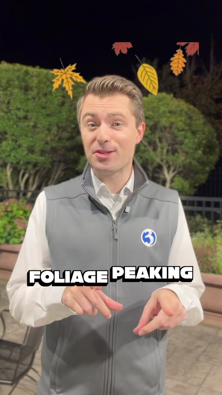 @wfsbnews