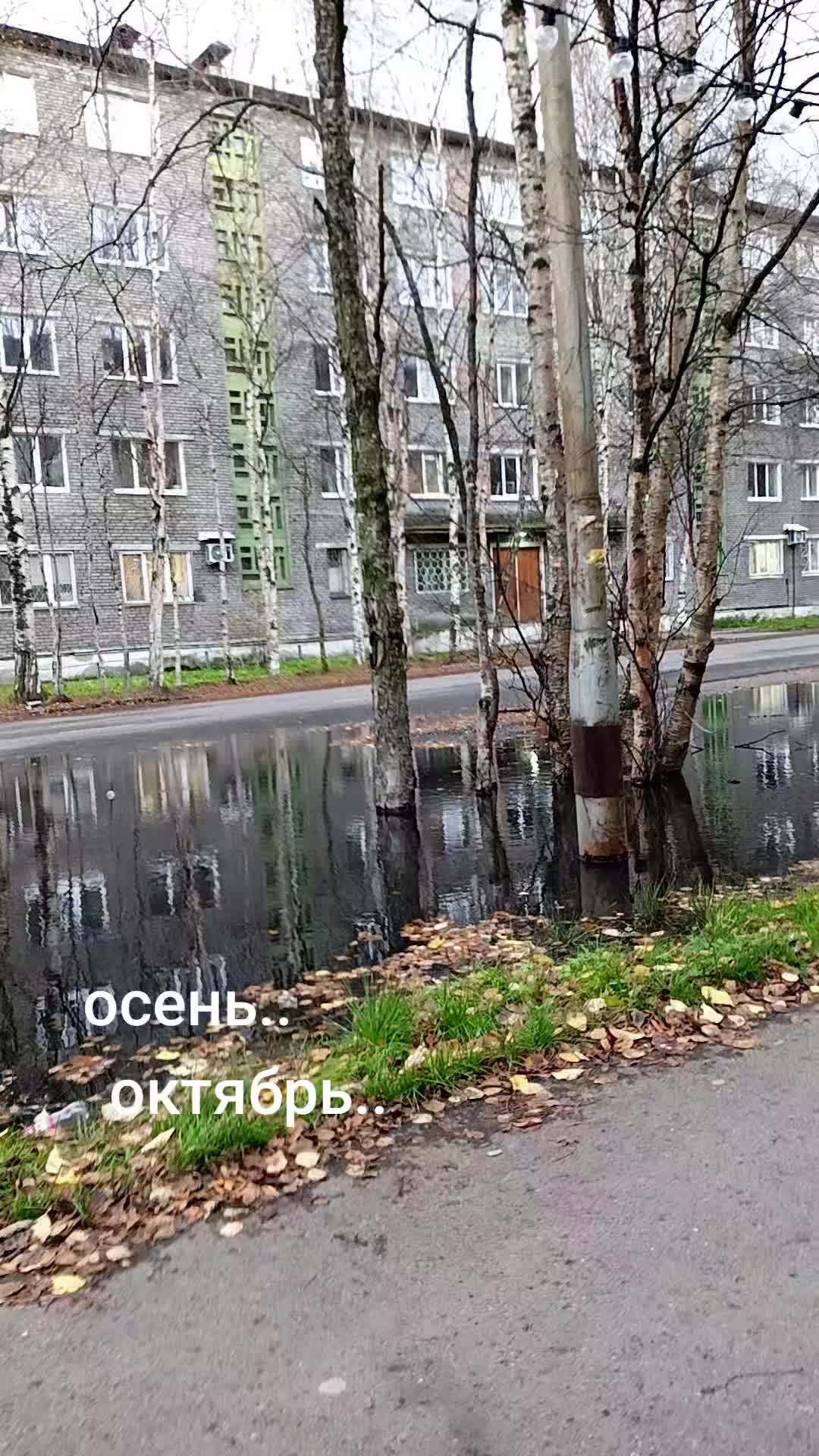 @Дюймовочка✔