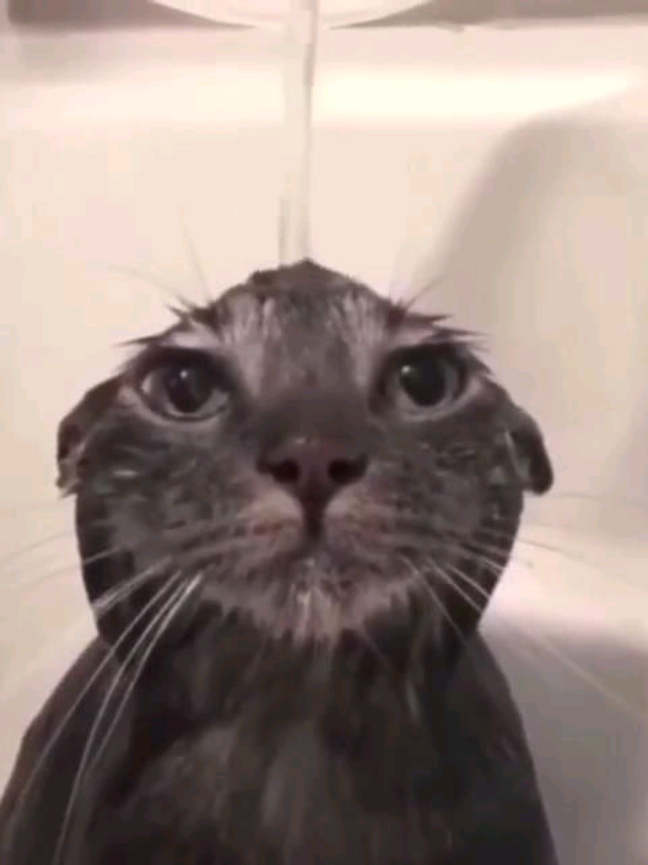 @&real;𝔢𝔮𝔲𝔦𝔢𝔪