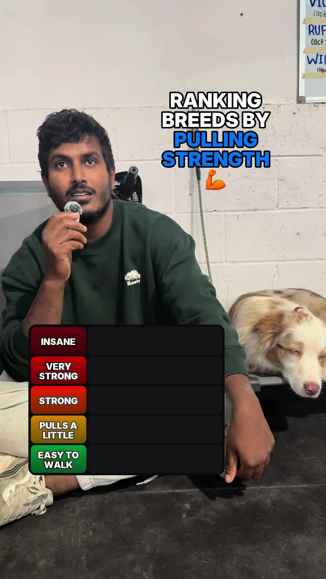 @K9academy