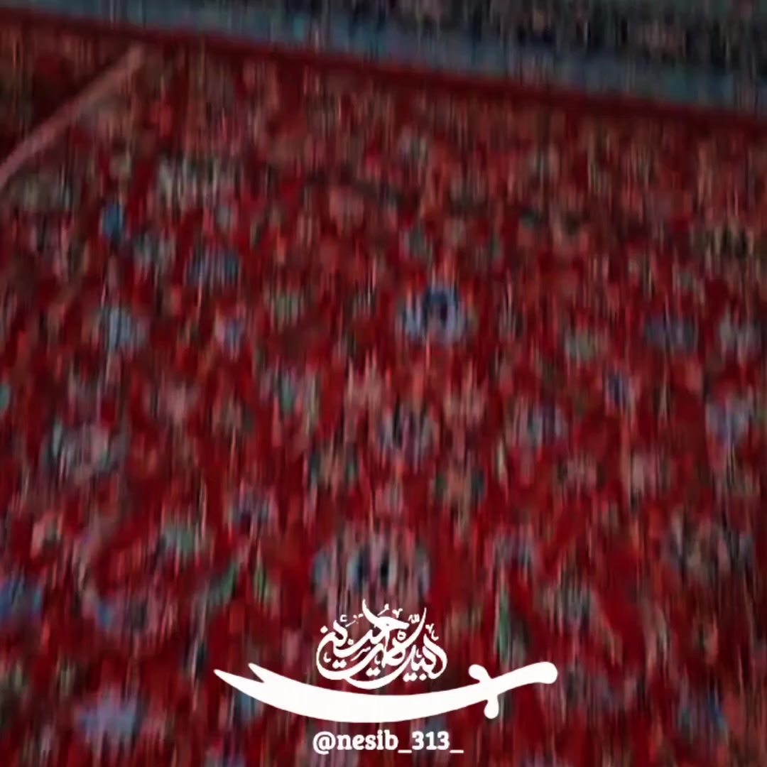 @nesib_313_