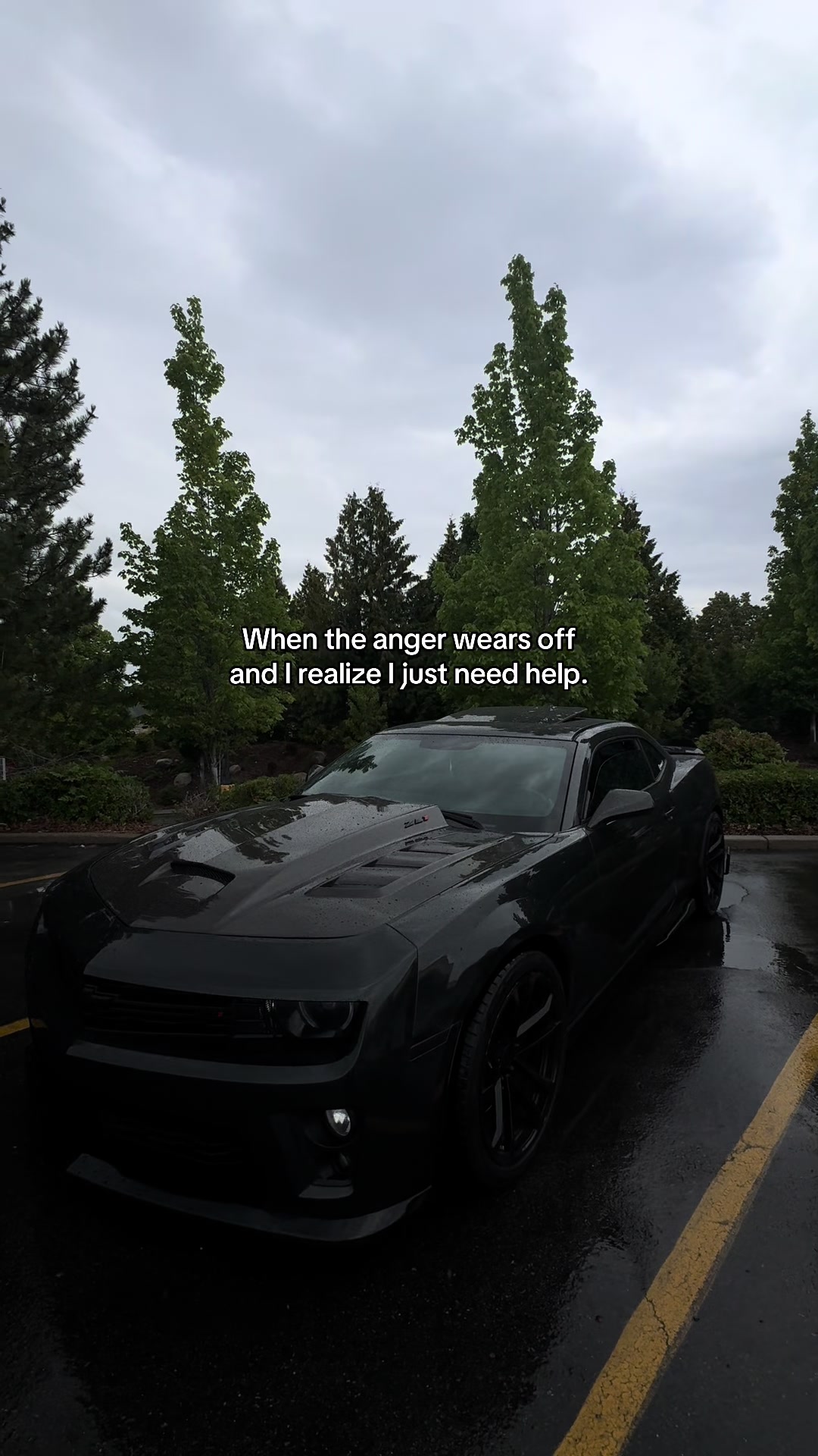 @midnight_zl1