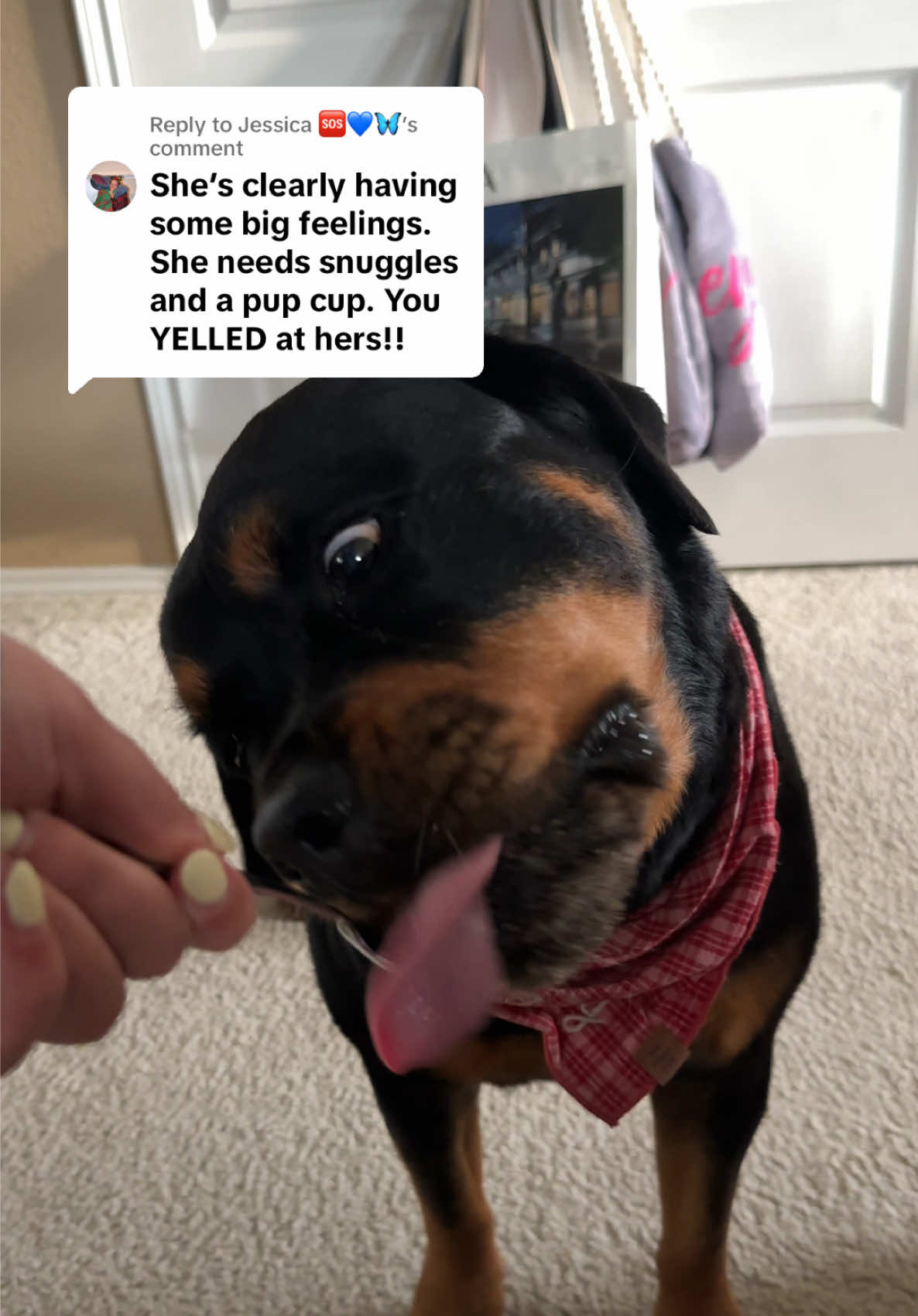 @Kasey the Rottie