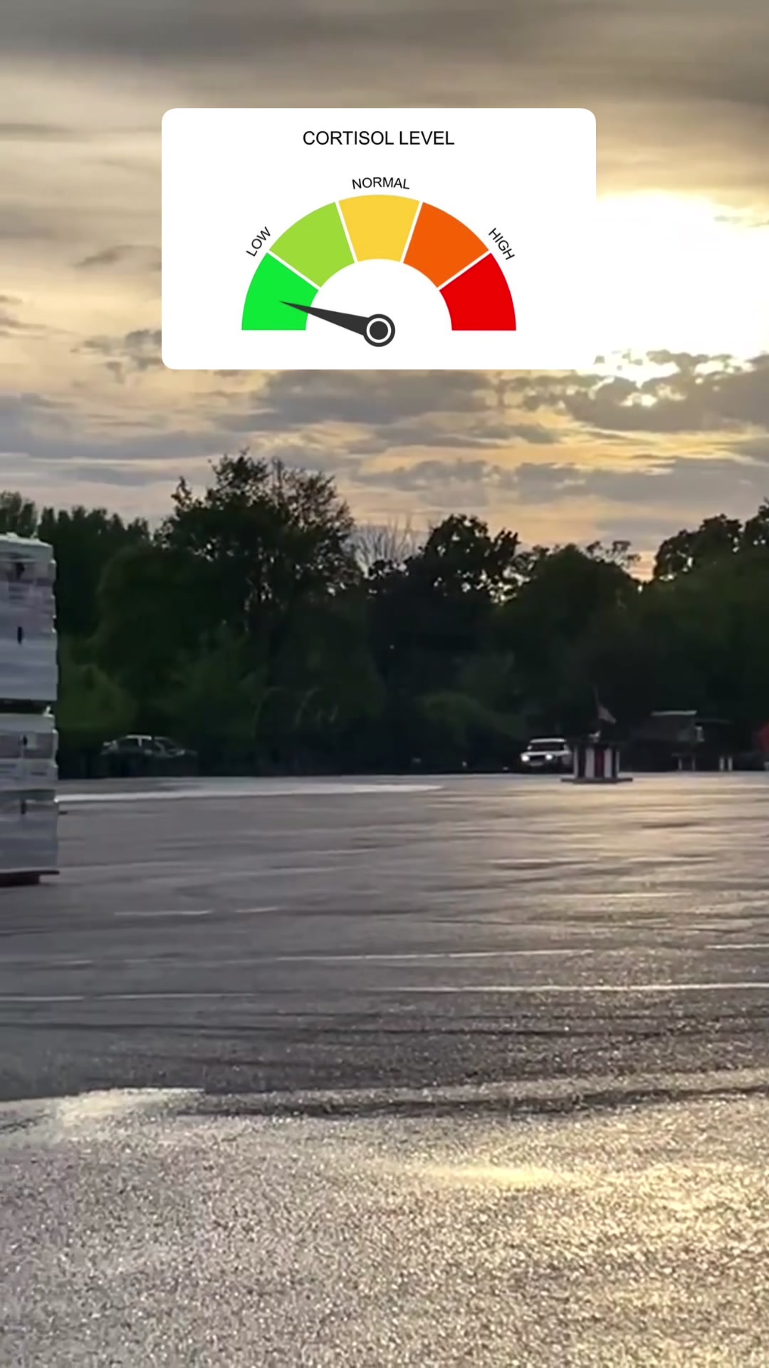@Сракер