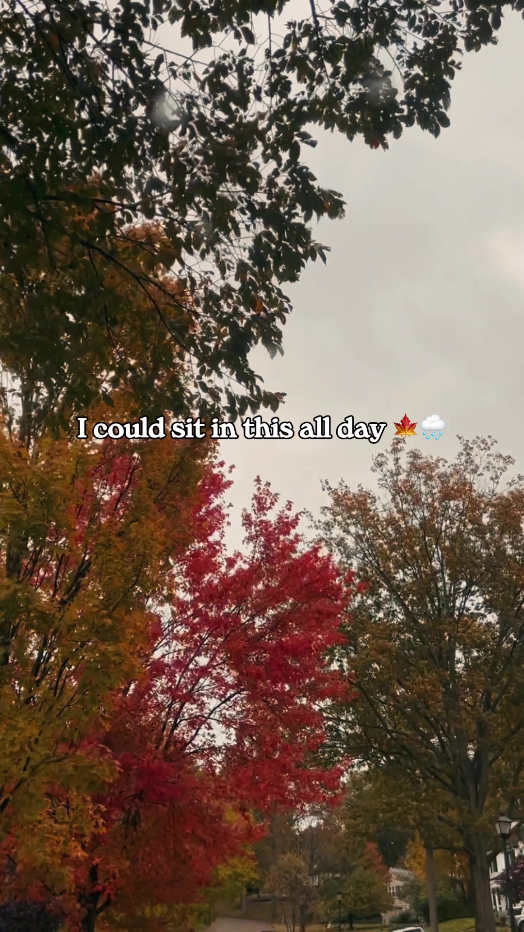@abitspooky