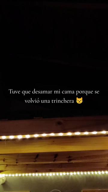 @*-*Moira D. 💕
