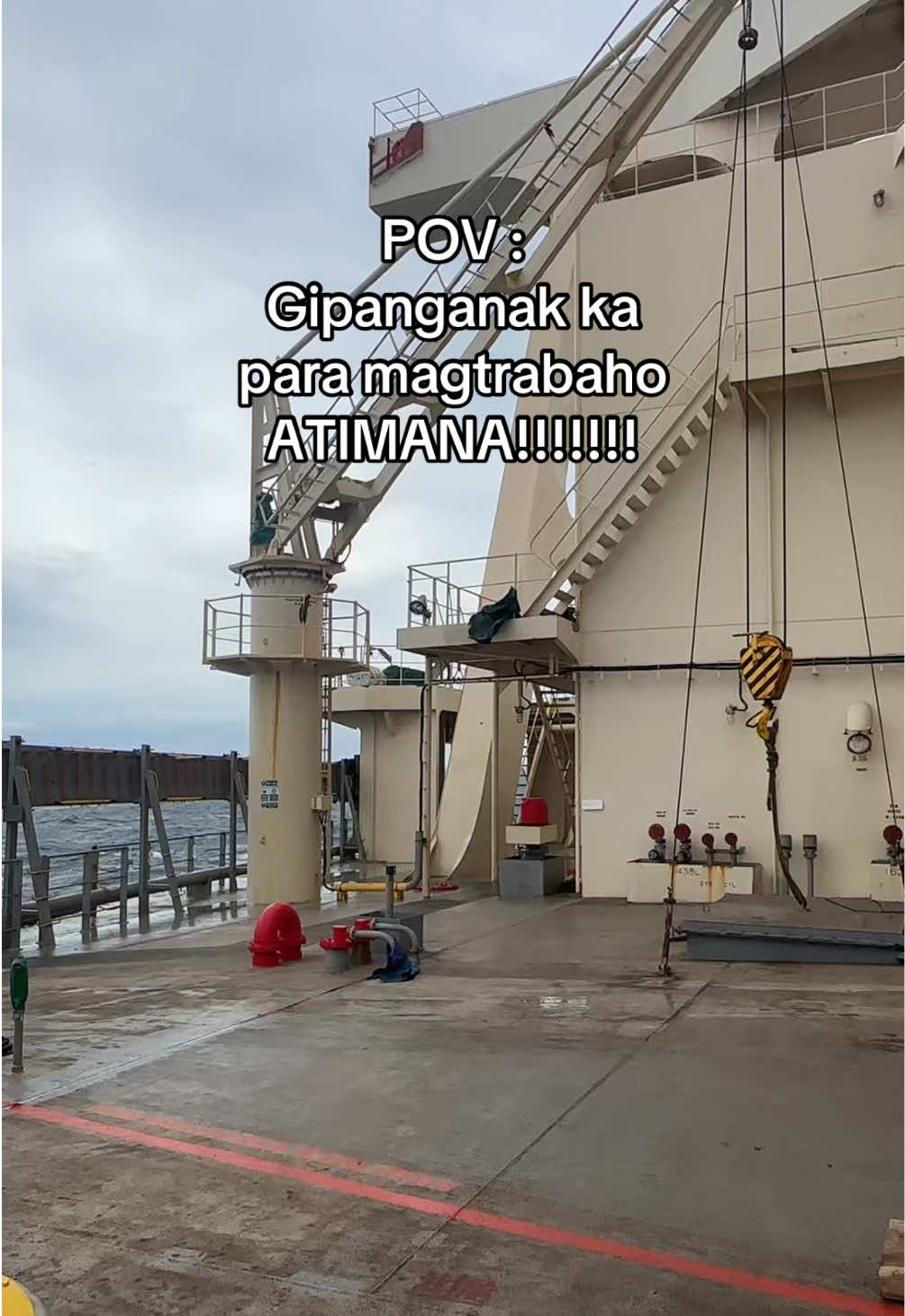 @Marlon Fuentes