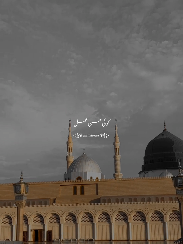 @꧁♛ 𝑧𝑎𝑟𝑖𝑖𝑠𝑡𝑜𝑟𝑖𝑒𝑠 ♛꧂