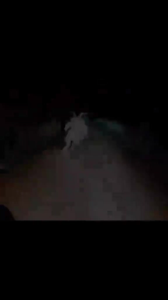 @Cuentos de Terror