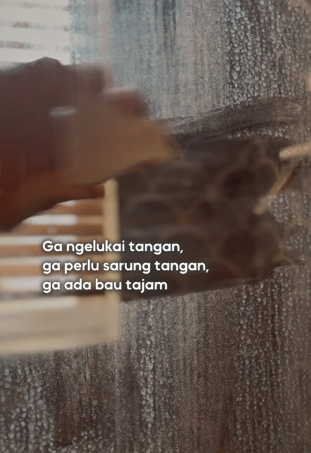 @Wulan Wu