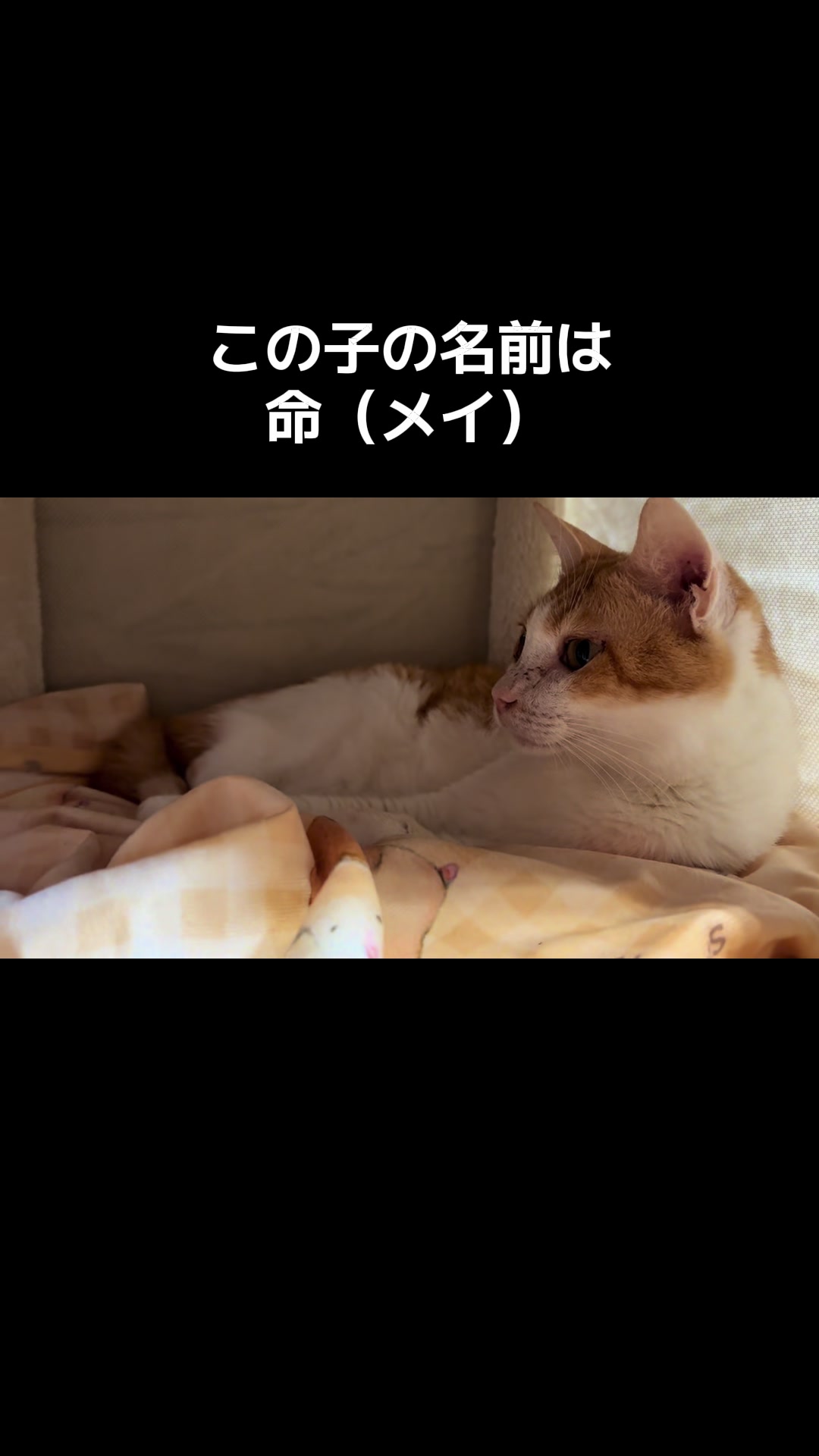 @ブルースカイの倫