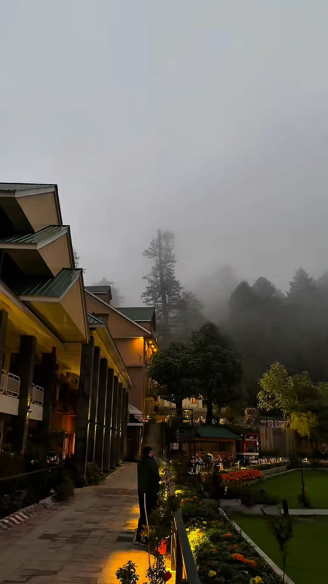 @Shogran Vibes