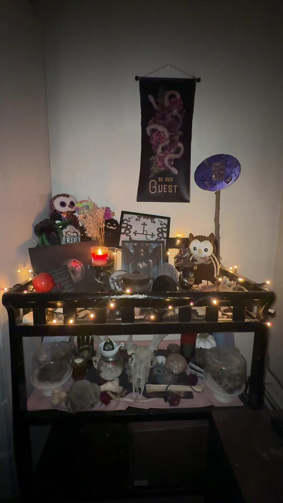 @Bleedingrose🌑🔮