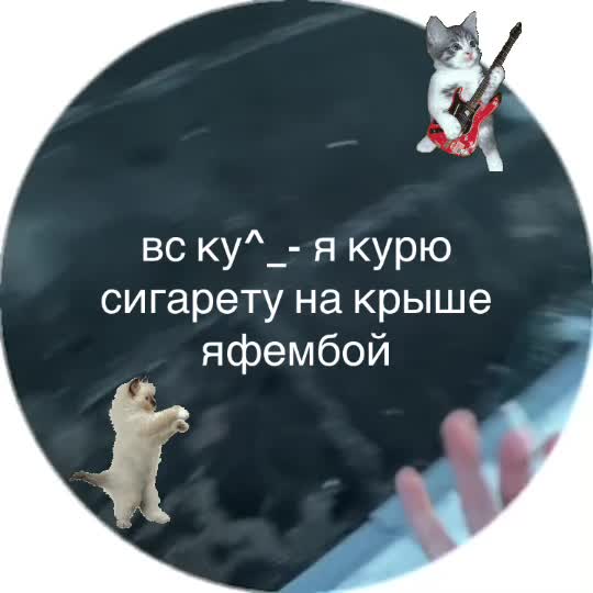 @user36091331243