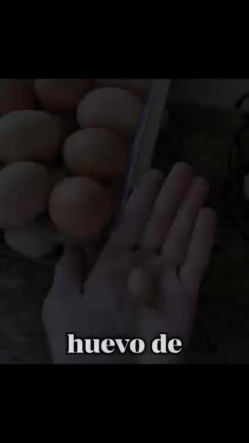 @La Leonera