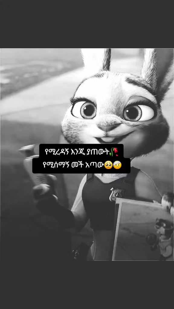 @๐ชธ๐๐๐ฆ๐๐น๐๐ข๐๐ก๐๐งธ