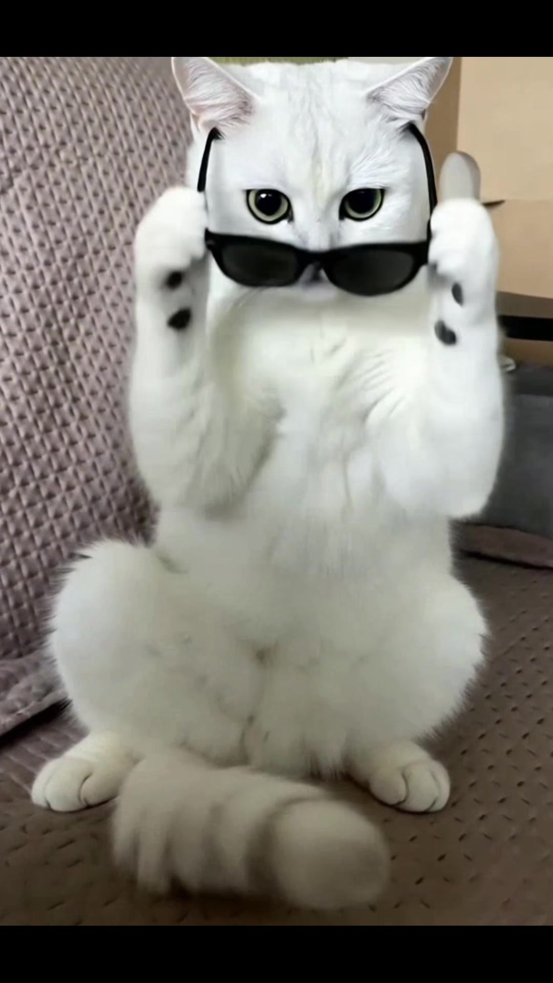 @𝓐𝓷𝓪𝓼𝓽𝓪𝓼𝓲𝓪
