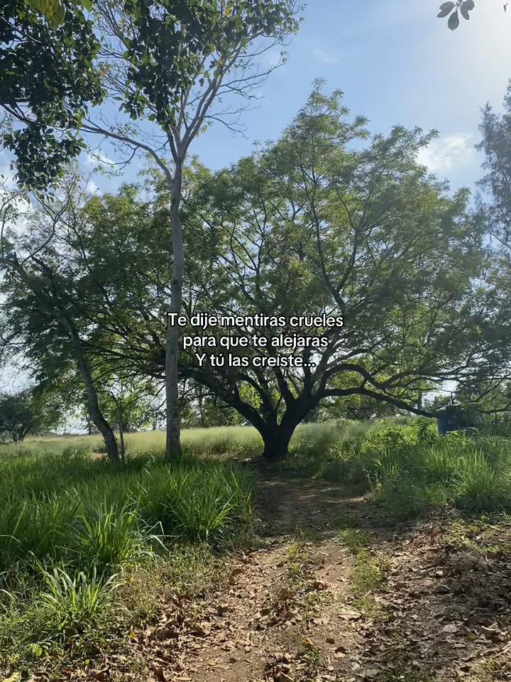 @ℒ𝒶 𝓅𝓁𝒶𝓃𝓉𝒾𝓉𝒶🌱