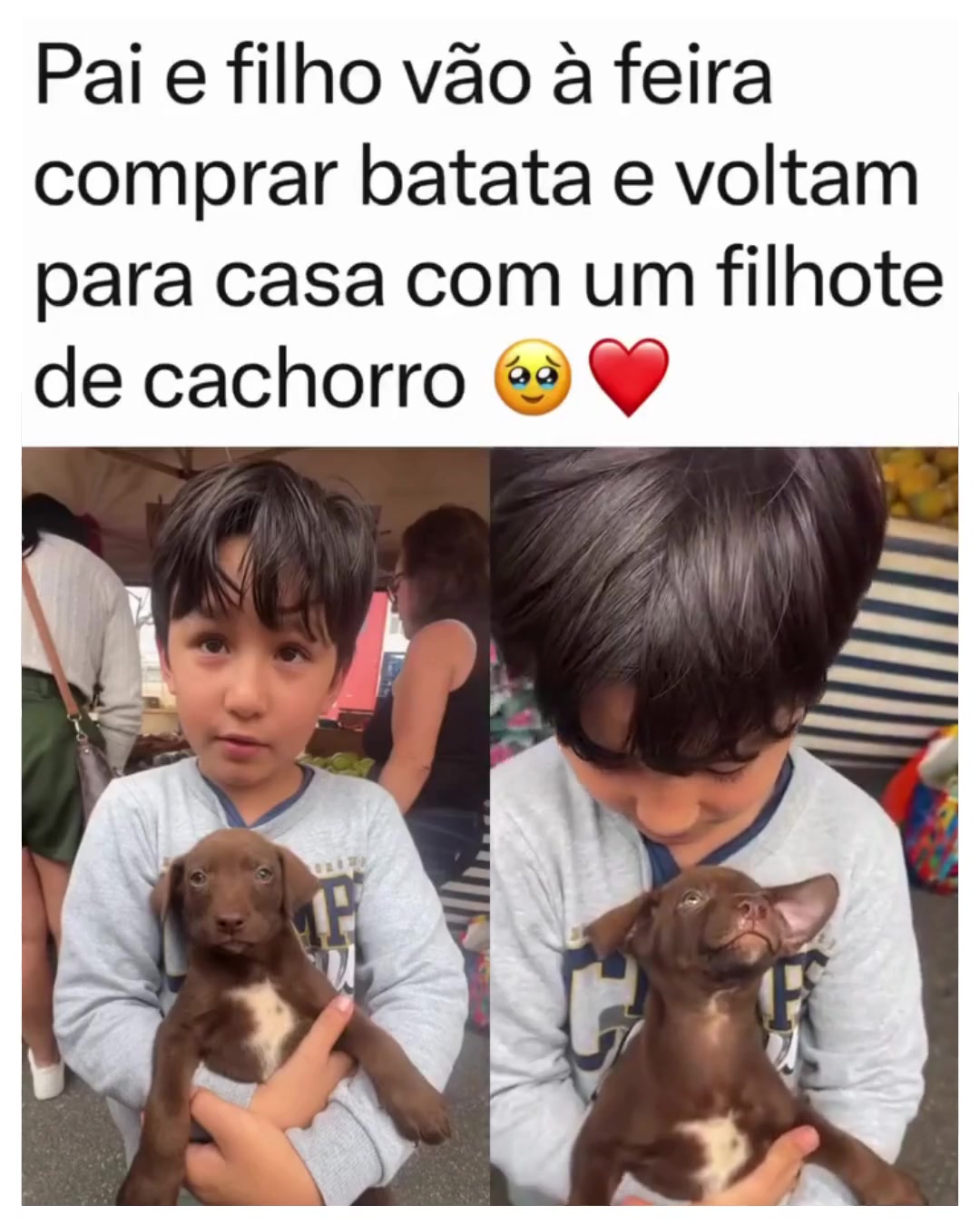 @Alfinetei