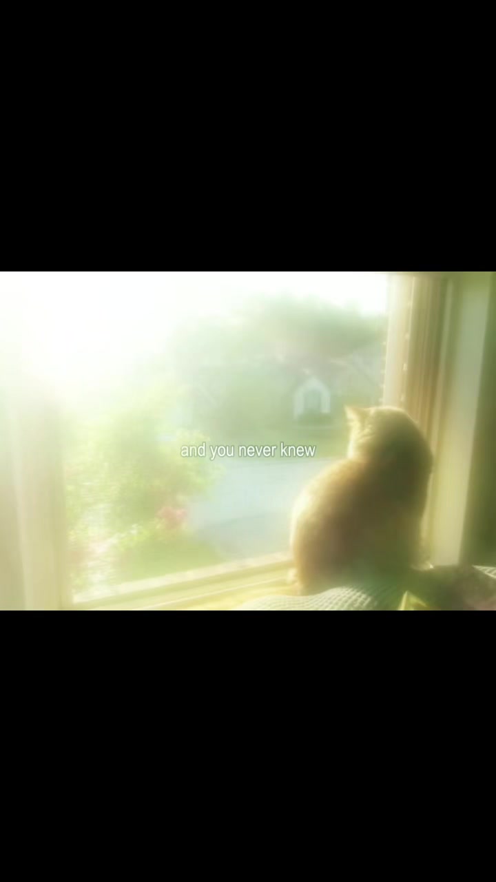 @iaxz_qwvv
