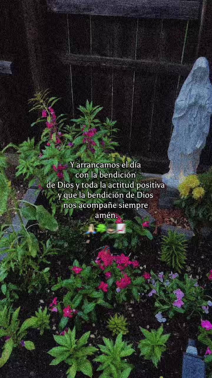 @🌹💕Jathzely🌹💕