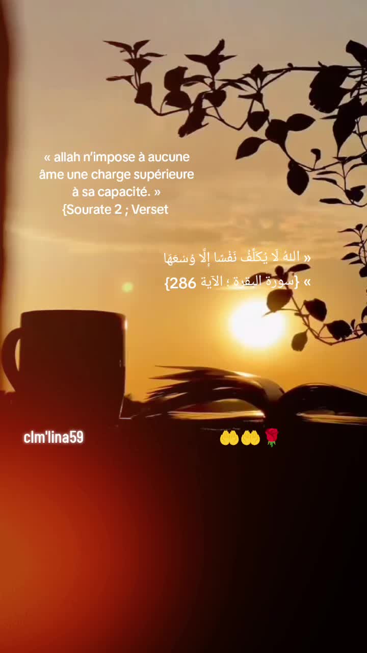 @clem.lina 59🇩🇿🇫🇷